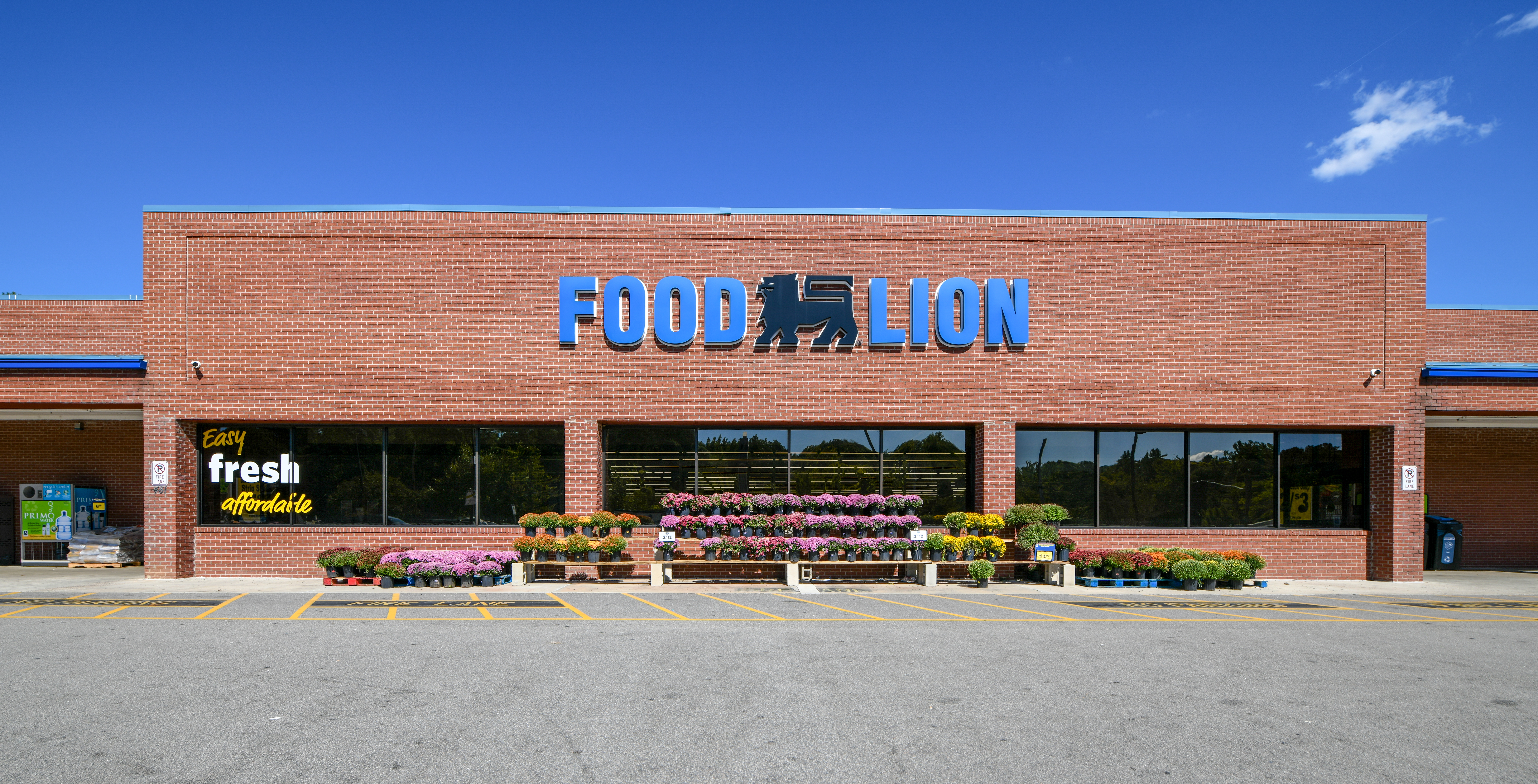Food Lion - Rockingham, NC